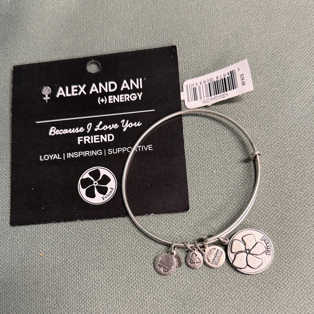BNWT VINTAGE ALEX & ANI SILVER TONE “BECAUSE I LOVE YOU FRIEND CHARM BRACELET